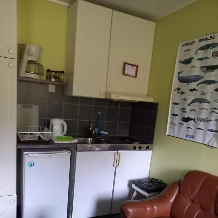 公寓 Milas House Two Fredvang